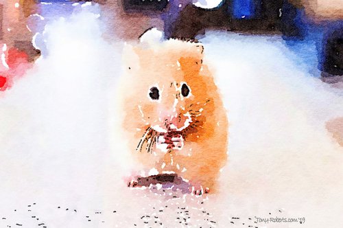 Mouse by Tony Roberts