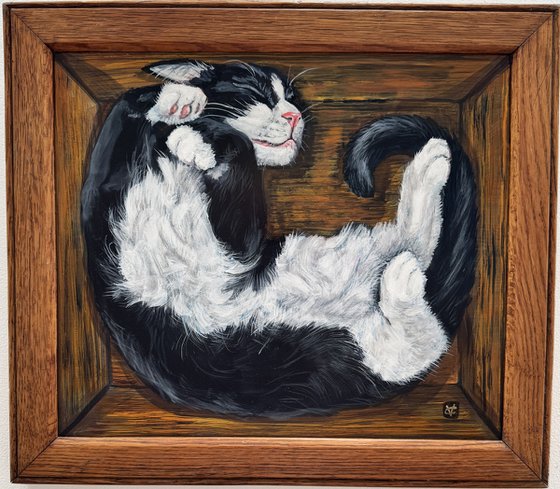 CVat In A Box #15