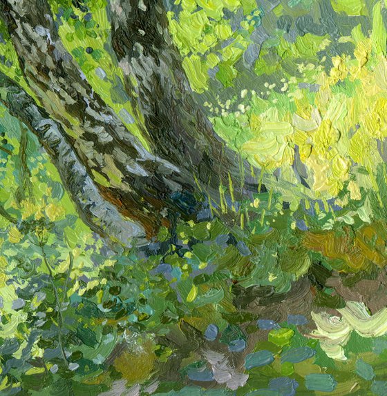 Birches
