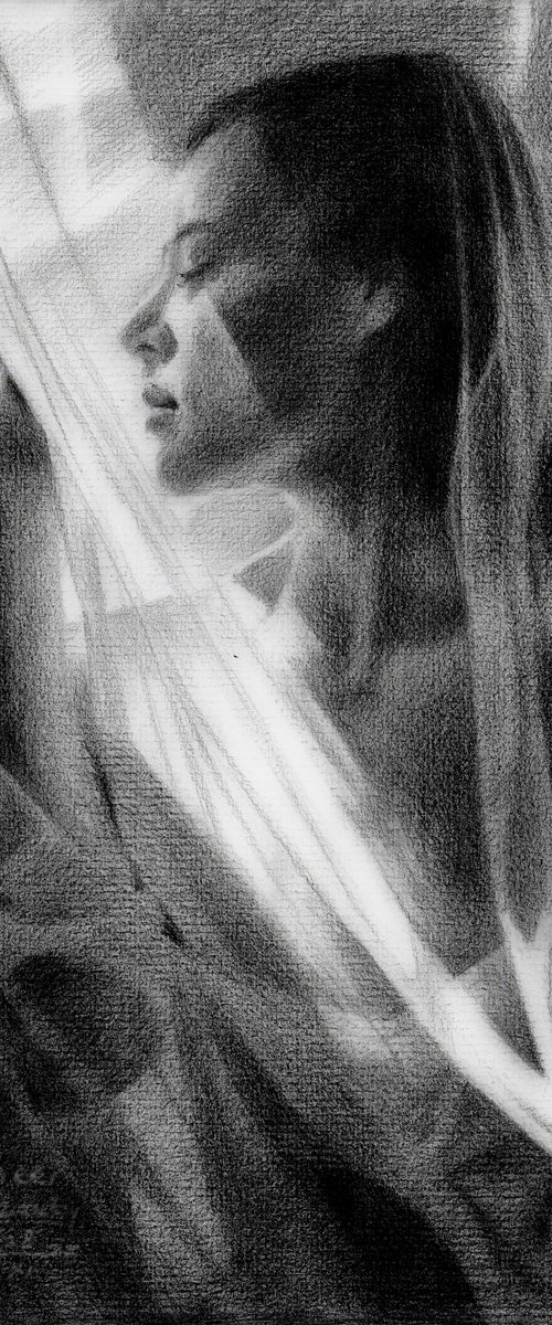 Sheer Beauty - 28-11-25 by Corné Akkers