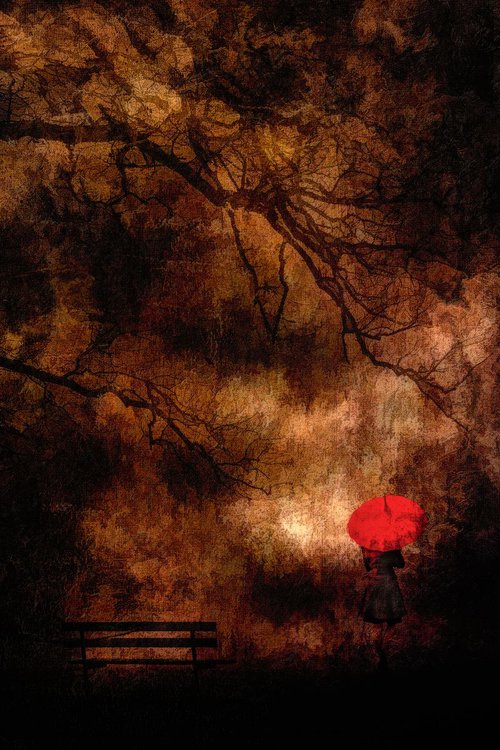 The Girl with the red umbrella by Martin  Fry