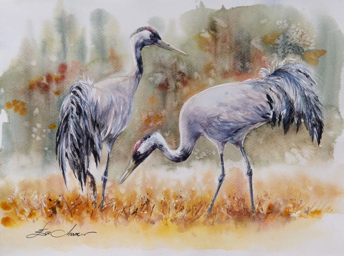 Photorealistic Animal Watercolour By Eve Mazur, 20 X 16, Common Cranes, Original Artwork