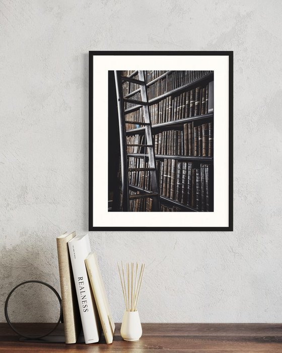 THE BEAUTIFUL LIBRARY