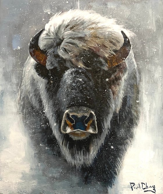 King of the Snow Plains