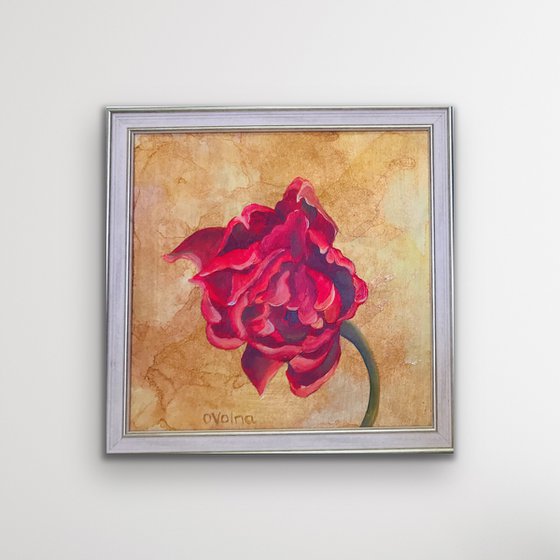 Scarlet Tulip on gold