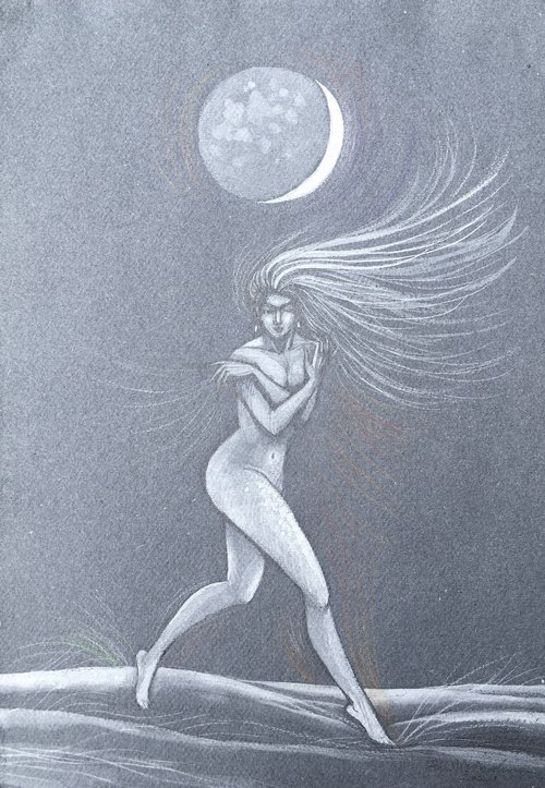 Moonlight Devotion by Phyllis Mahon