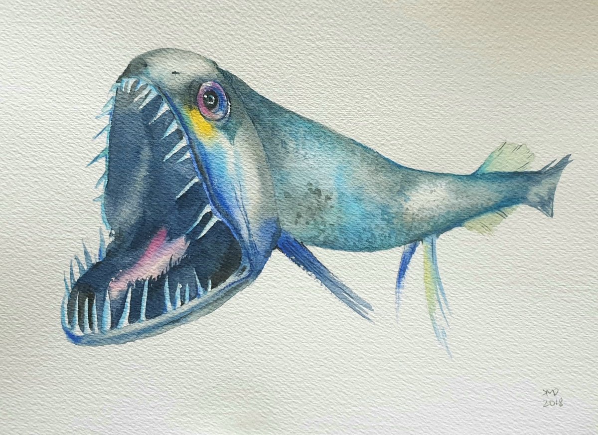 Illustrative Animal Drawing By Ksenia June, 10 X 7", Jaws - My Little Goldfish, Original Artwork