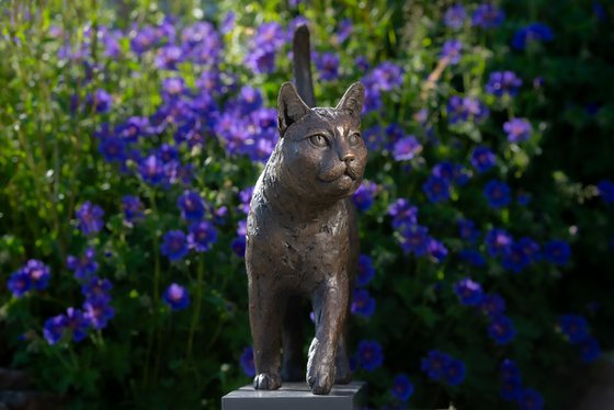 Community Cat (BR sculpture)