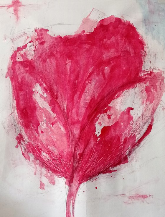 Tulip