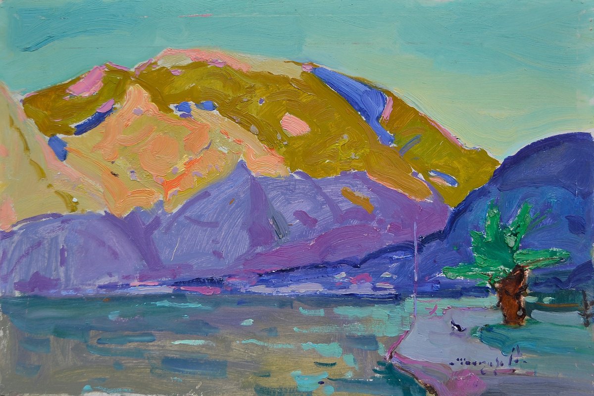 Impressionistic Landscape Oil Painting By Alexander Shandor, 24 X 16, Kotor, Original Artwork