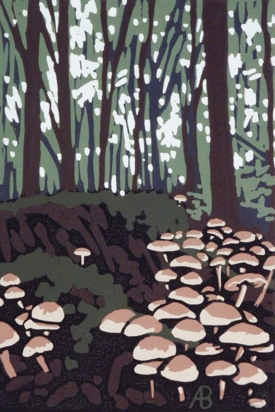 Stoke Wood Mushrooms, framed