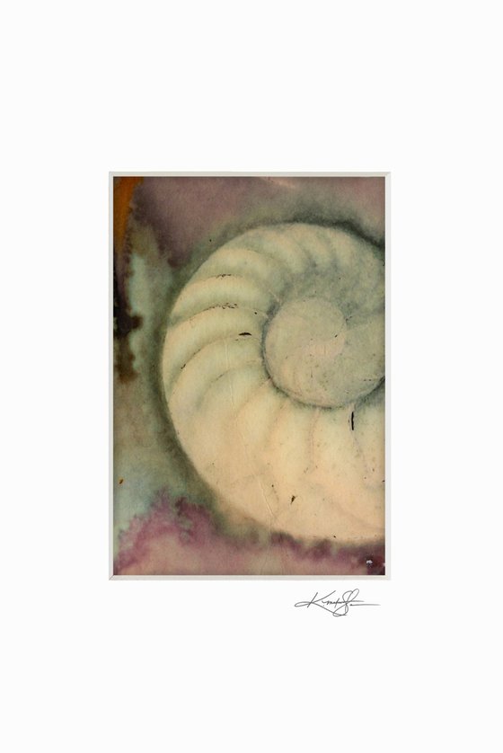 Nautilus Shell Collection 2 - 3 Small Matted paintings by Kathy Morton Stanion