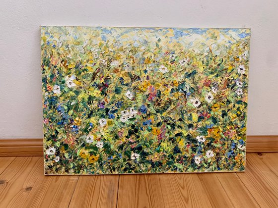 Blooming meadow