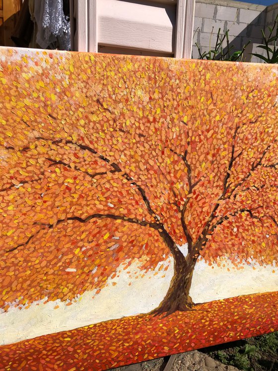 Autumn tree
