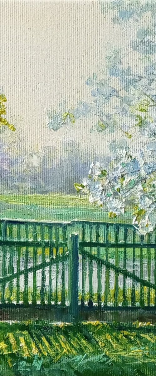 Spring morning. Landscape with a cat on a gate / ORIGINAL oil picture ~8x8in (20x20cm) by Olha Malko