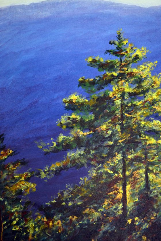 Bhutan series - Pine trees and blue mountains
