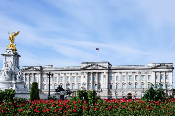 Buckingham Palace 7.6.20  1/20  18" X 12"