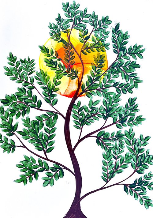 Moringa plant by Sumit Mehndiratta