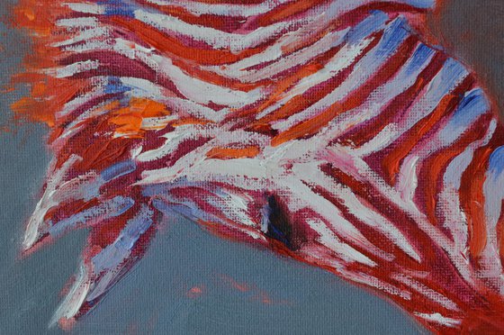 Zebra in red