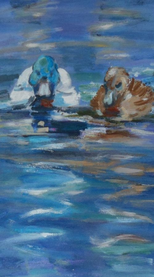 Ducks by Jean  Luce