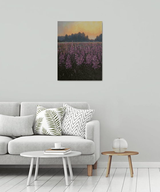 Sunset Over The Fireweed Field