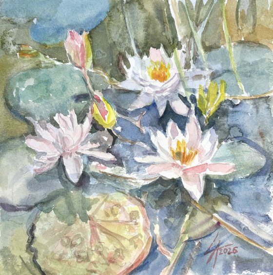 Jade water lily