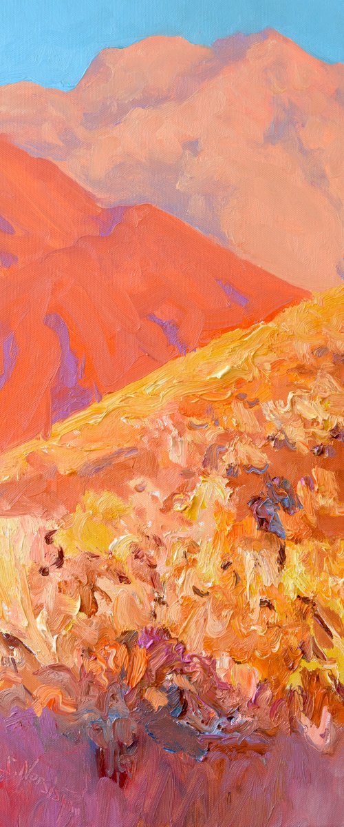 Golden Hour of the Desert by Suren Nersisyan
