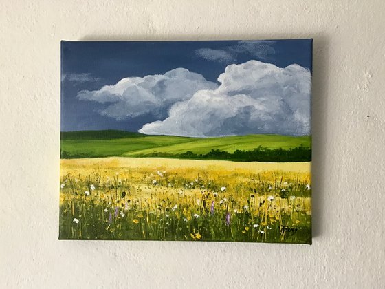 Meadow Flowers