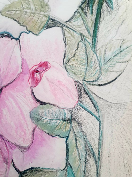 Floral Dance Drawing with Pencil and Watercolour Pencils A4 Size