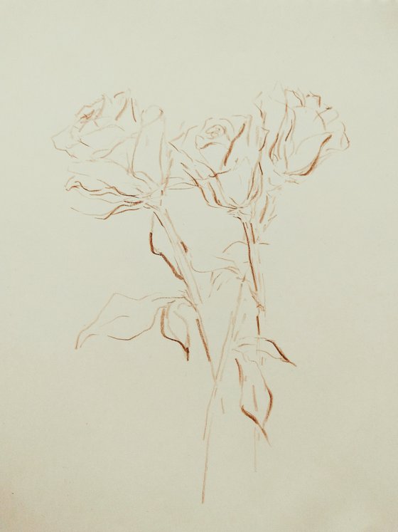 Roses #2. Original pencil drawing