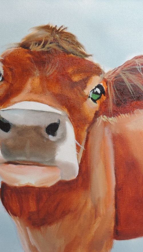 Cow painting oil on canvas by Gordon Bruce