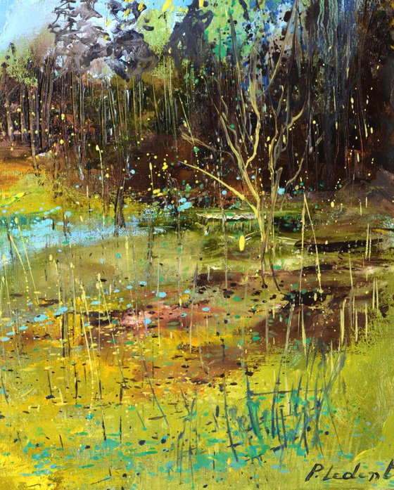 Spring in the wood 4523