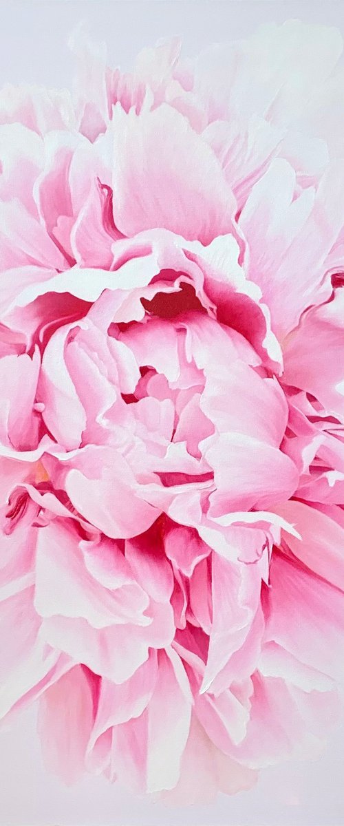 Ethereal II. Macro Peony by Alla Kallass