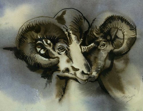 Two rams watercolor by Alfred  Ng