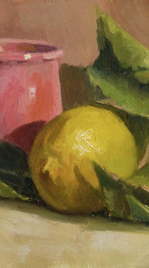 Lemon and a Pink Pot by Pascal Giroud