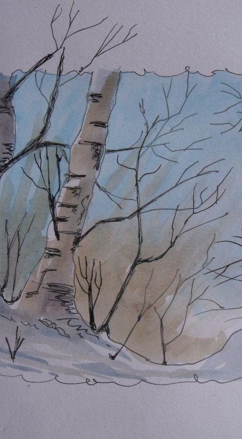 Birch in Winter by Ruth Searle