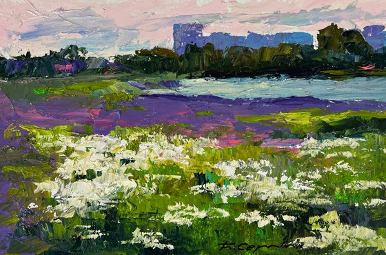 Meadows of Growing Flowers