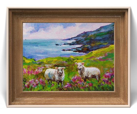 Scottish landscape, sheep on pasture