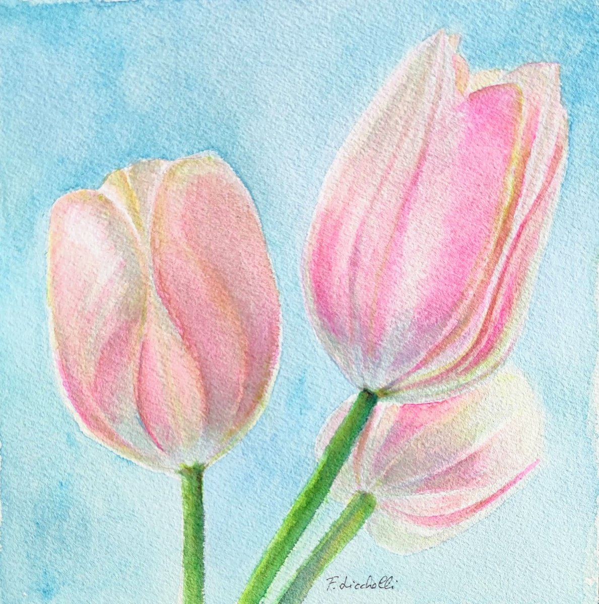 Pink tulips by Francesca Licchelli