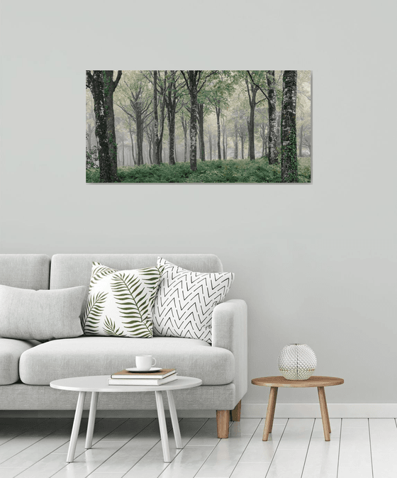 Misty Panorama