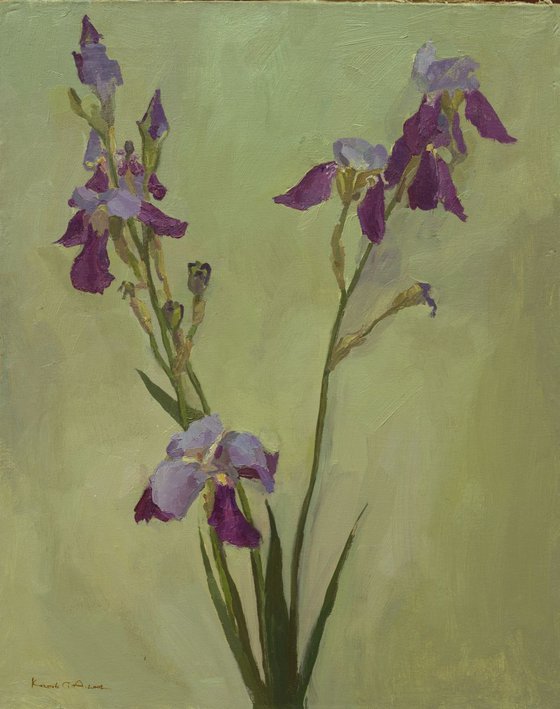 Irises