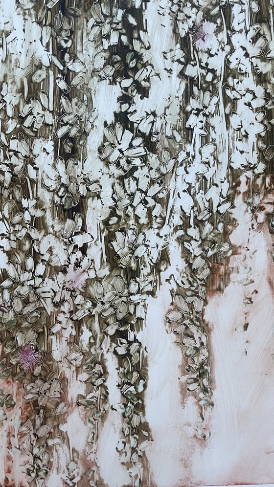 DROSANTHEMUM FLORIBUNDUM II