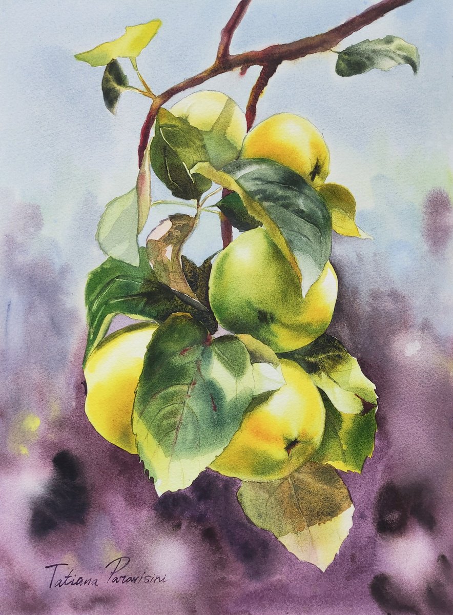 Golden apples by Tatiana Paravisini