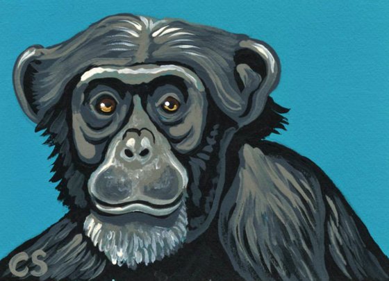 ACEO ATC Original Painting Chimpanzee Ape  Wildlife Art-Carla Smale