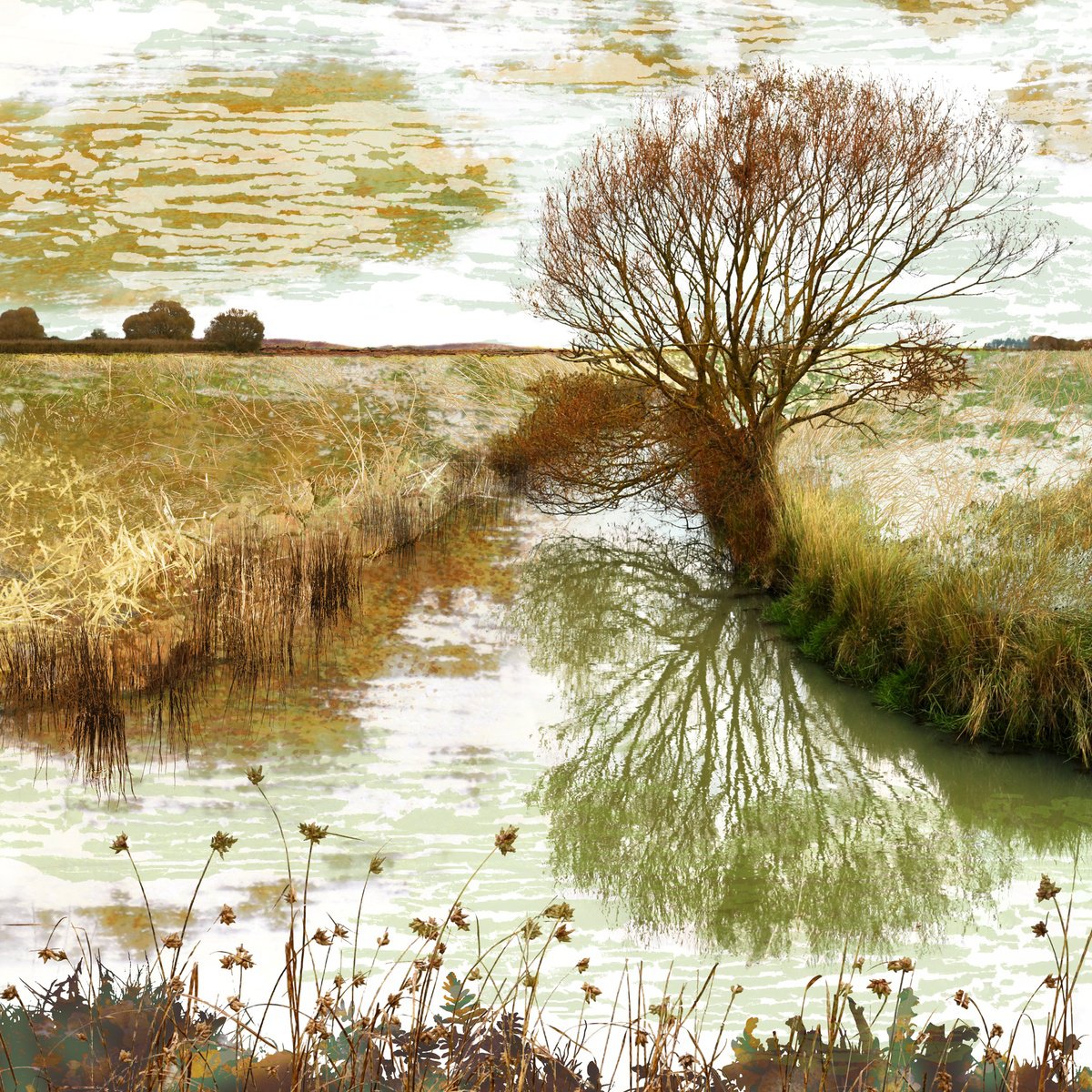 Impressionistic Landscape Photograph By Claire Gill, 20 X 20, Amber & Rust, Original Artwork