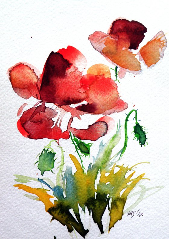 Little poppies