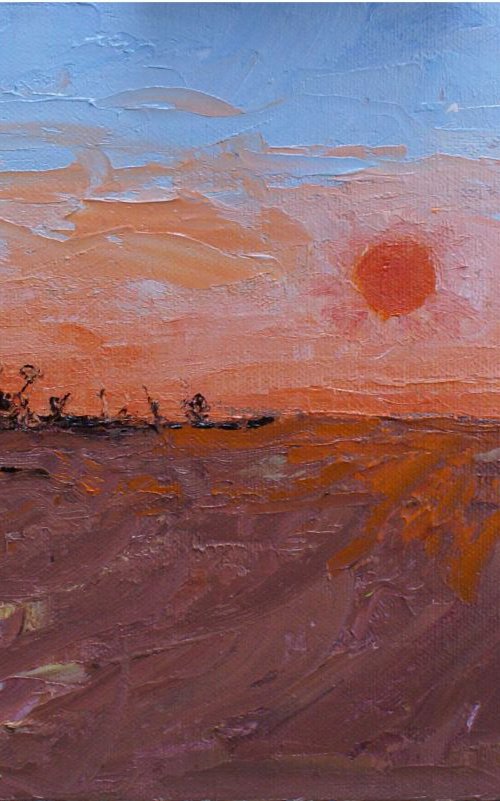 Orange Sky lighting the Vines by Ann Palmer