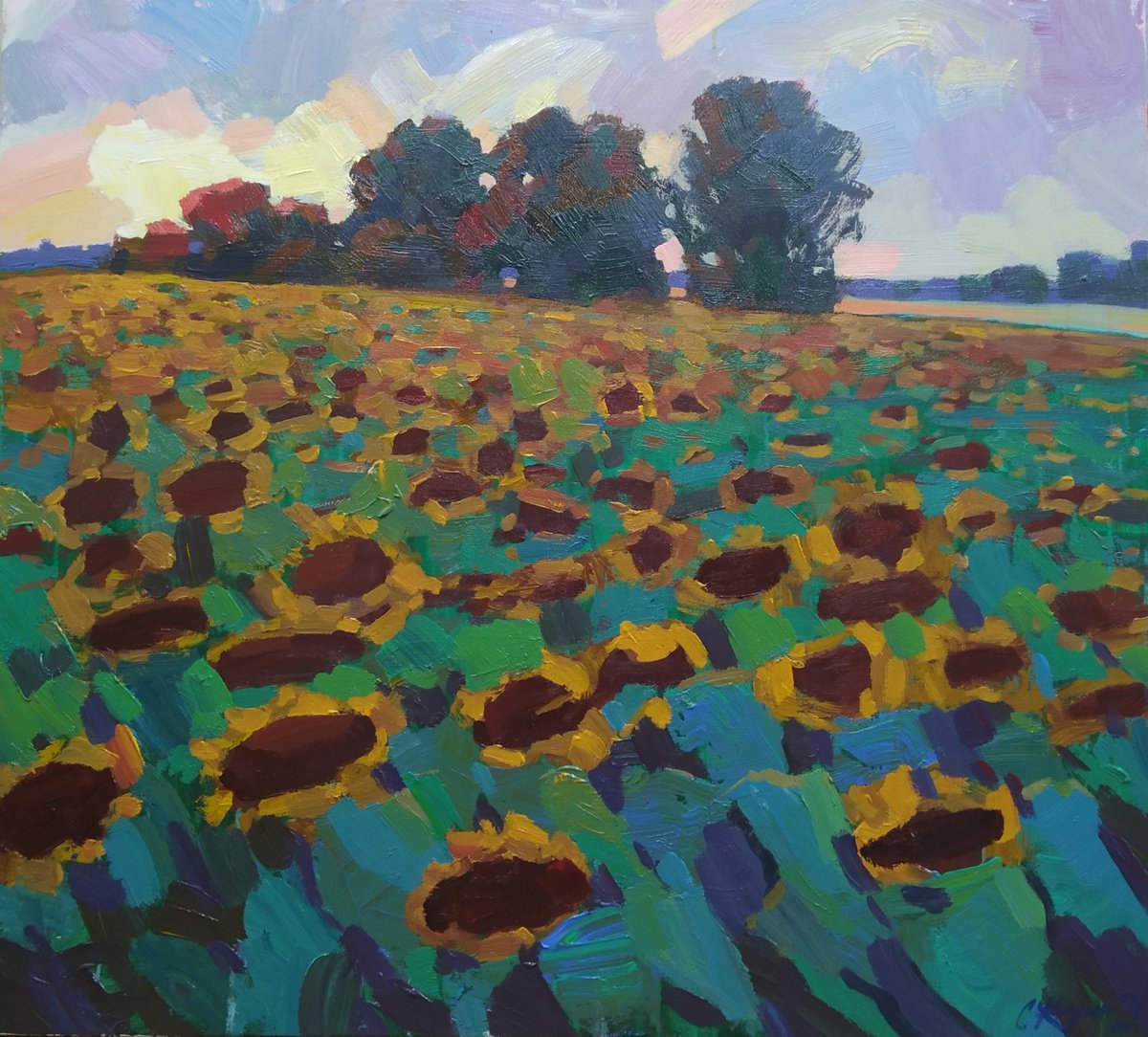 Evening. Sunflowers by Sergey Kachin