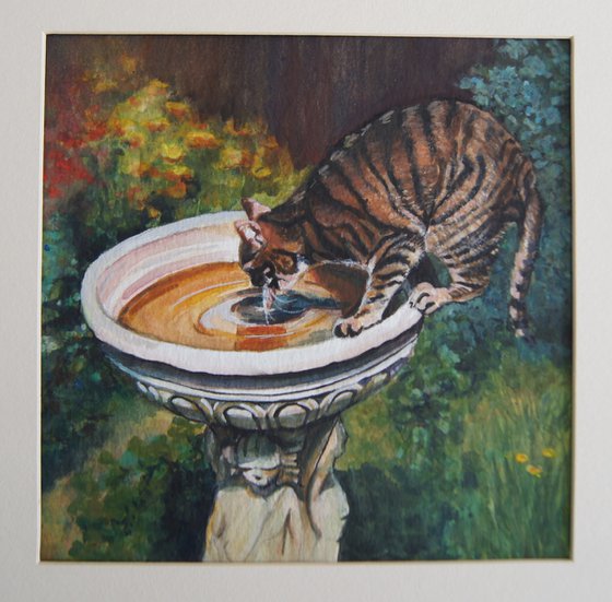 Cat drinking