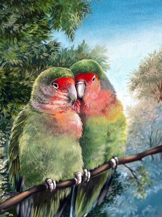 Parrots Agapornis